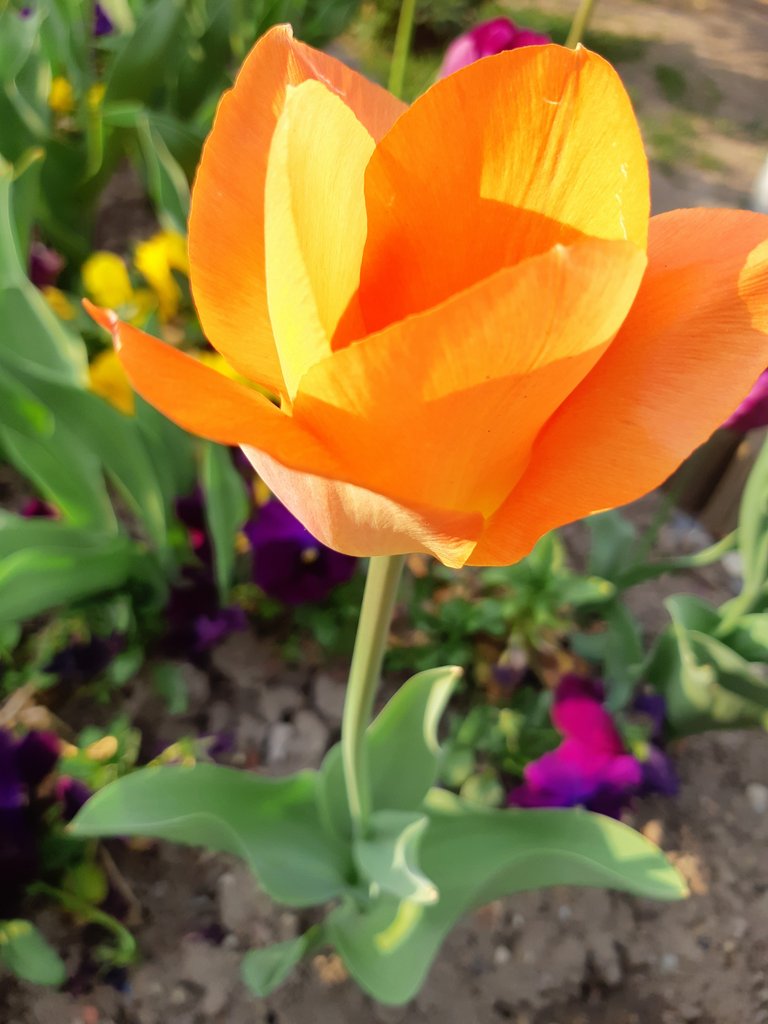 2019. Eden fotok 6.b  060.jpg