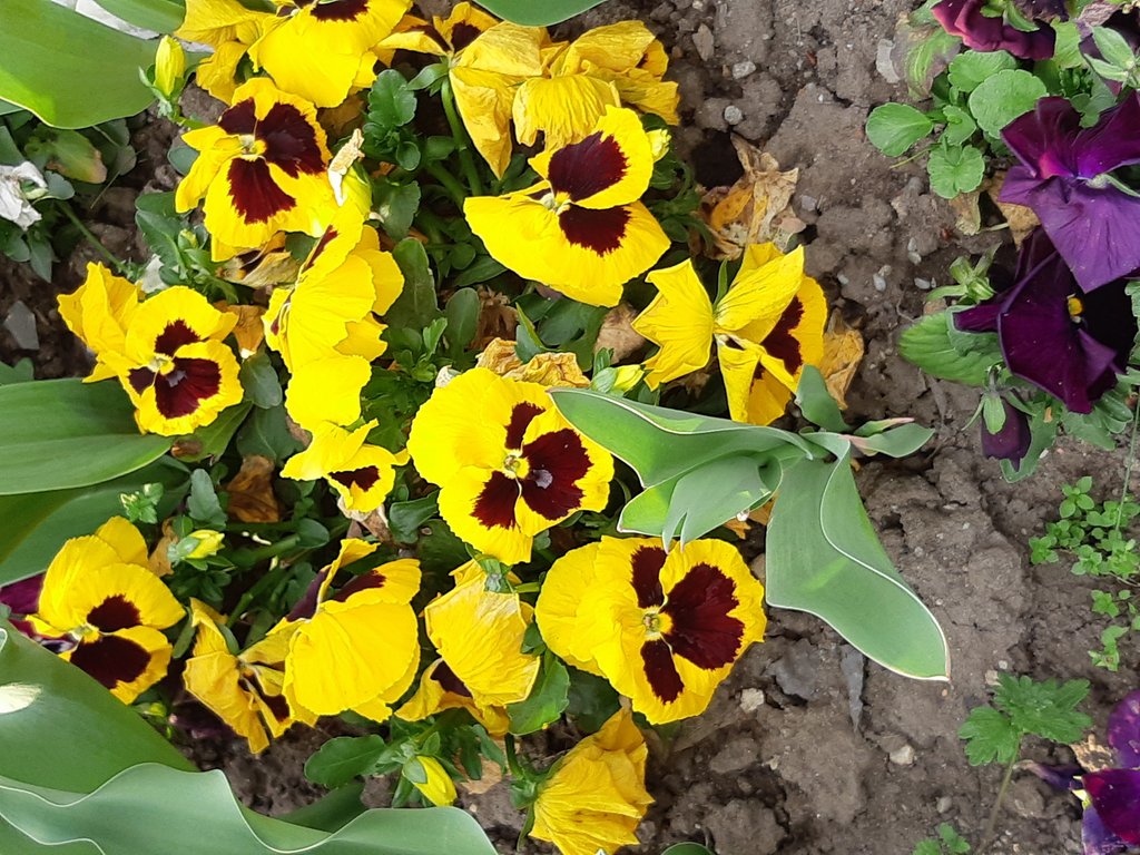2019. Eden fotok 6.b  061.jpg