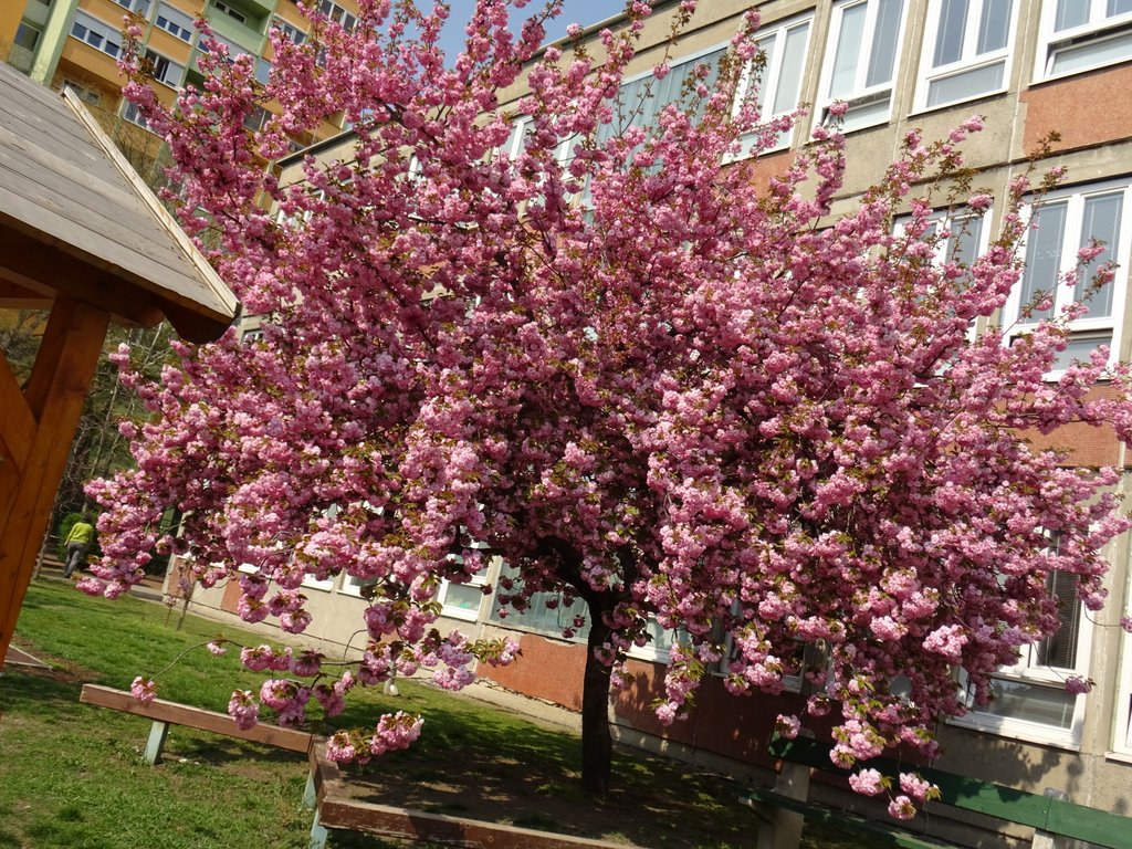 2019. Eden fotok 6.b  064.JPG
