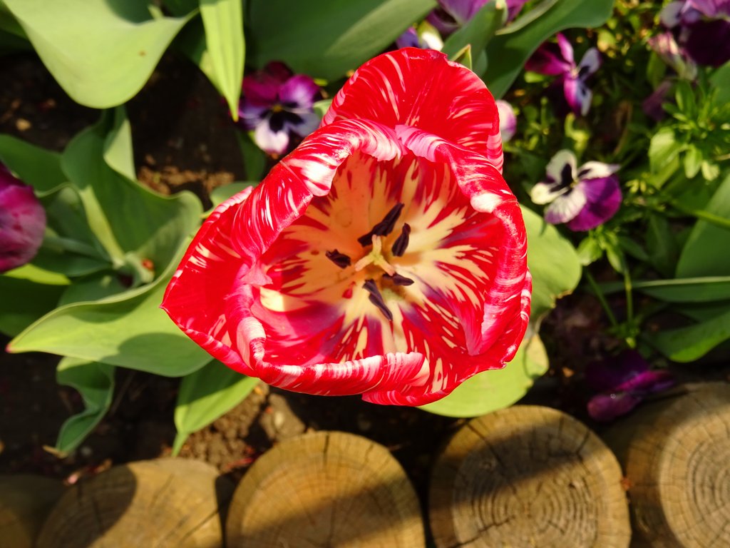 2019. Eden fotok 6.b  070.JPG