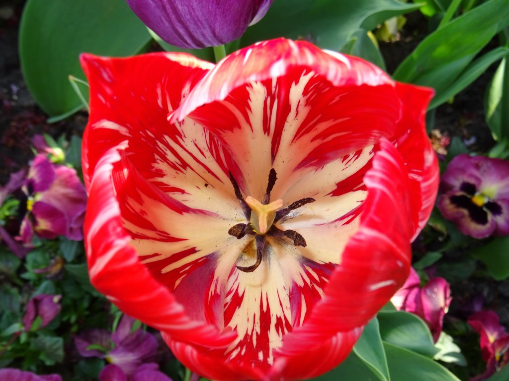 2019. Eden fotok 6.b  073.JPG