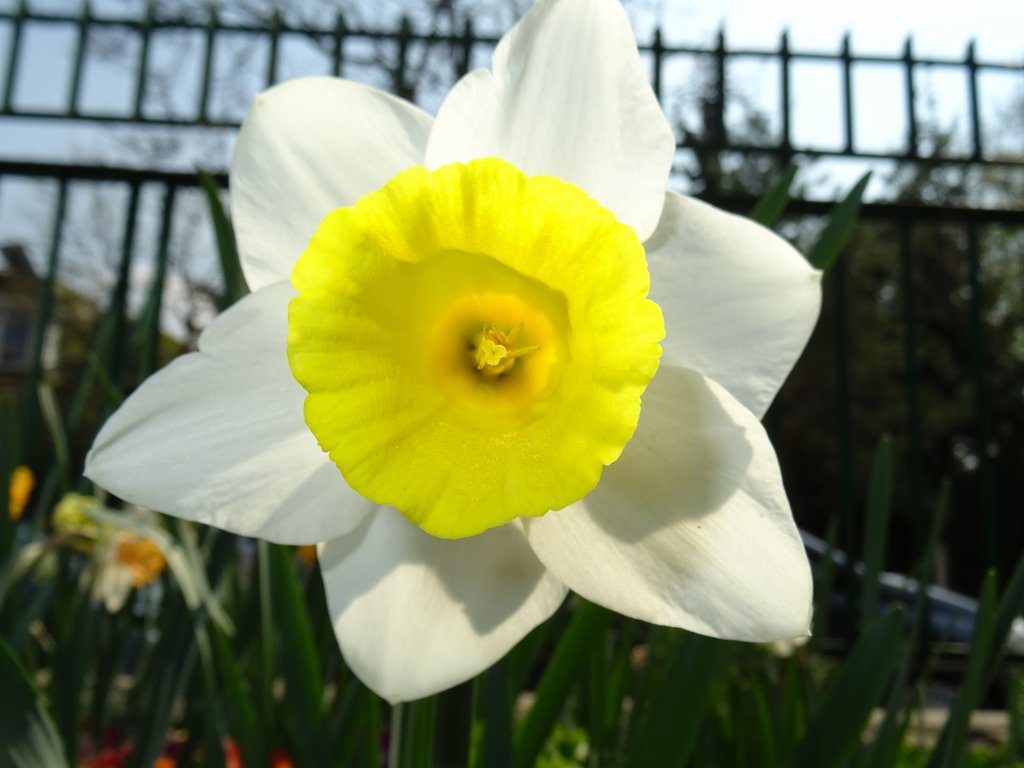 2019. Eden fotok 6.b  074.JPG
