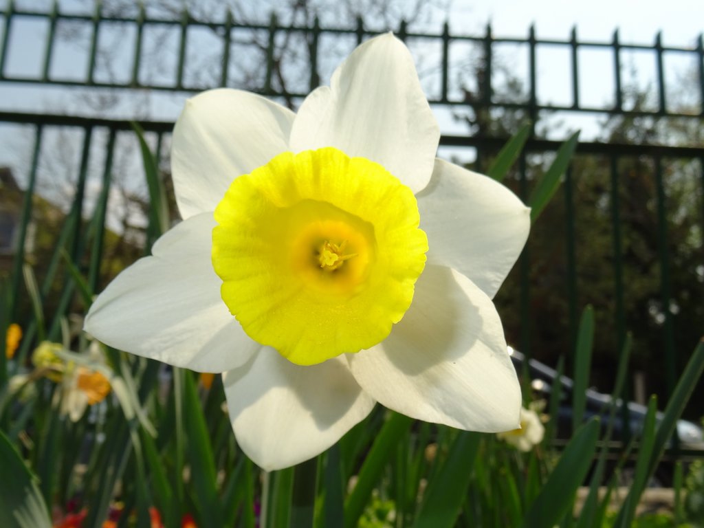 2019. Eden fotok 6.b  075.JPG