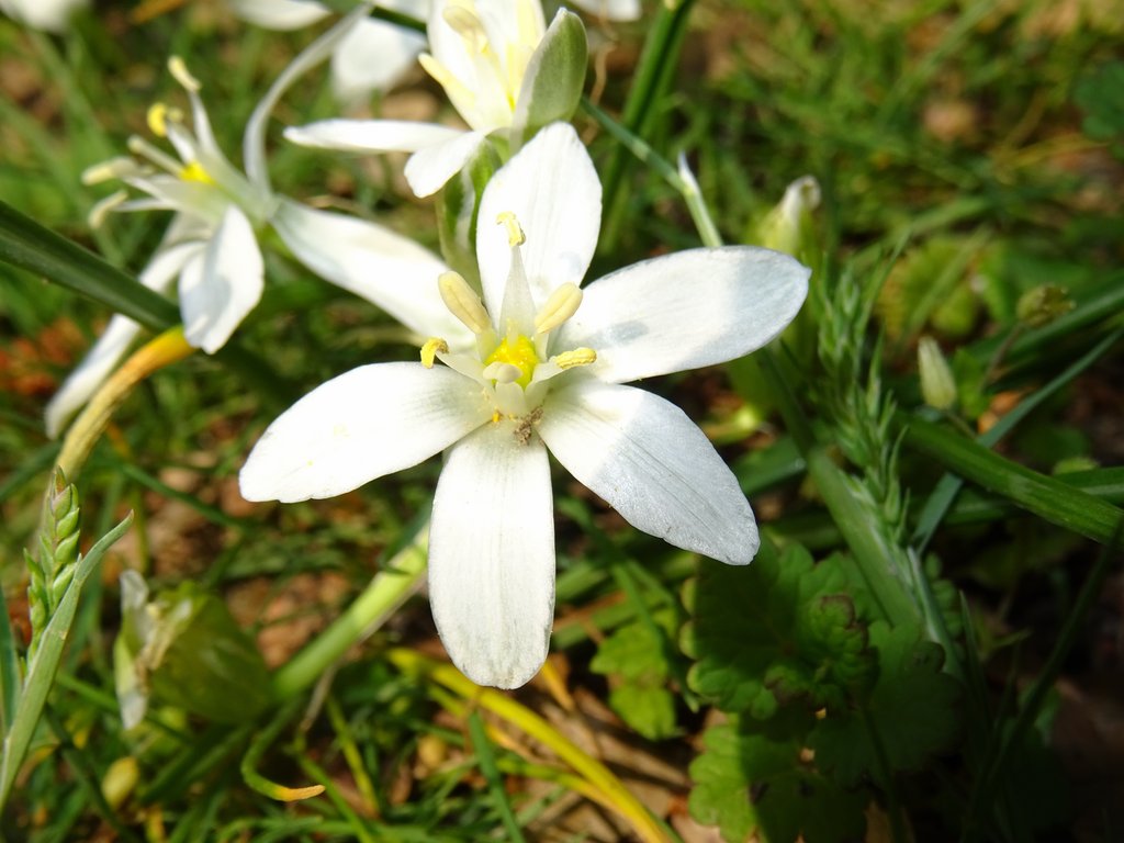 2019. Eden fotok 6.b  077.JPG