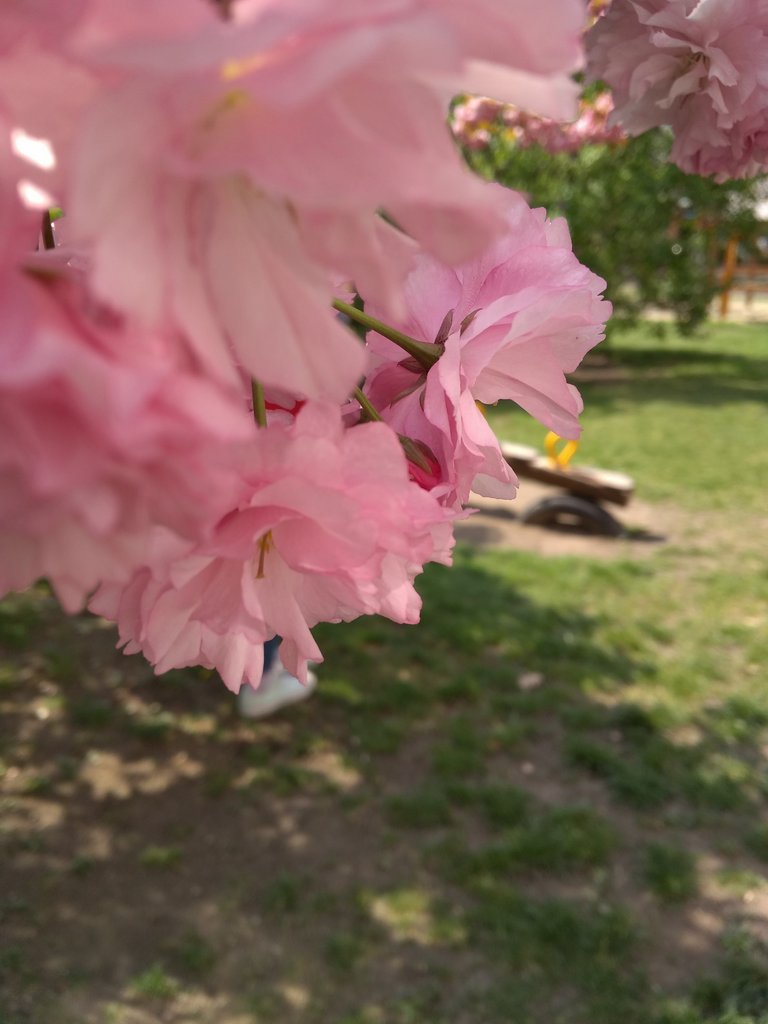 2019. Eden fotok 6.b  079.jpg