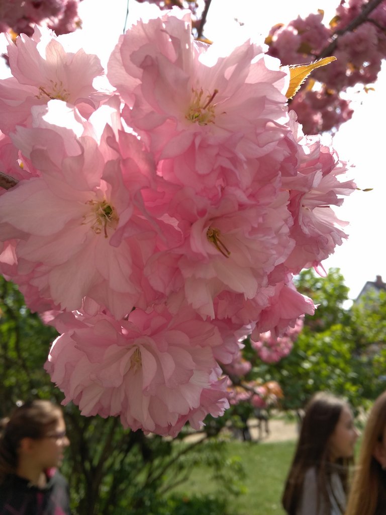 2019. Eden fotok 6.b  081.jpg
