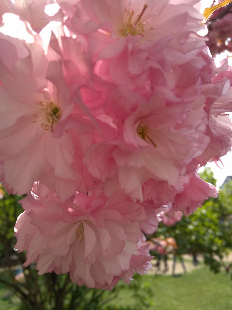 2019. Eden fotok 6.b  082.jpg