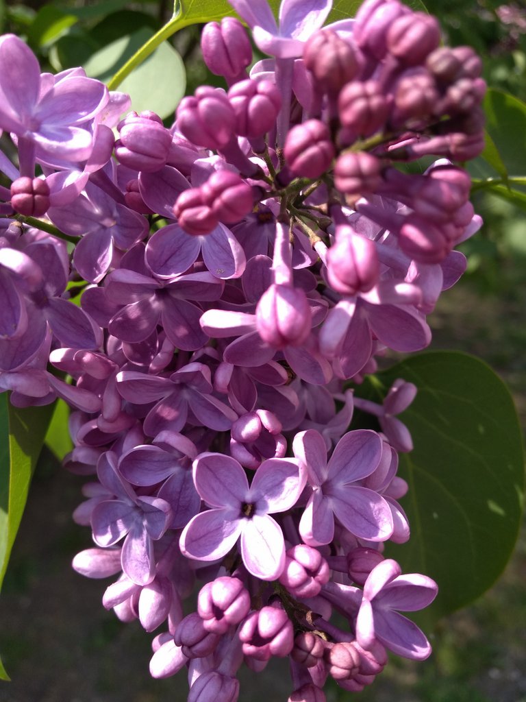2019. Eden fotok 6.b  083.jpg