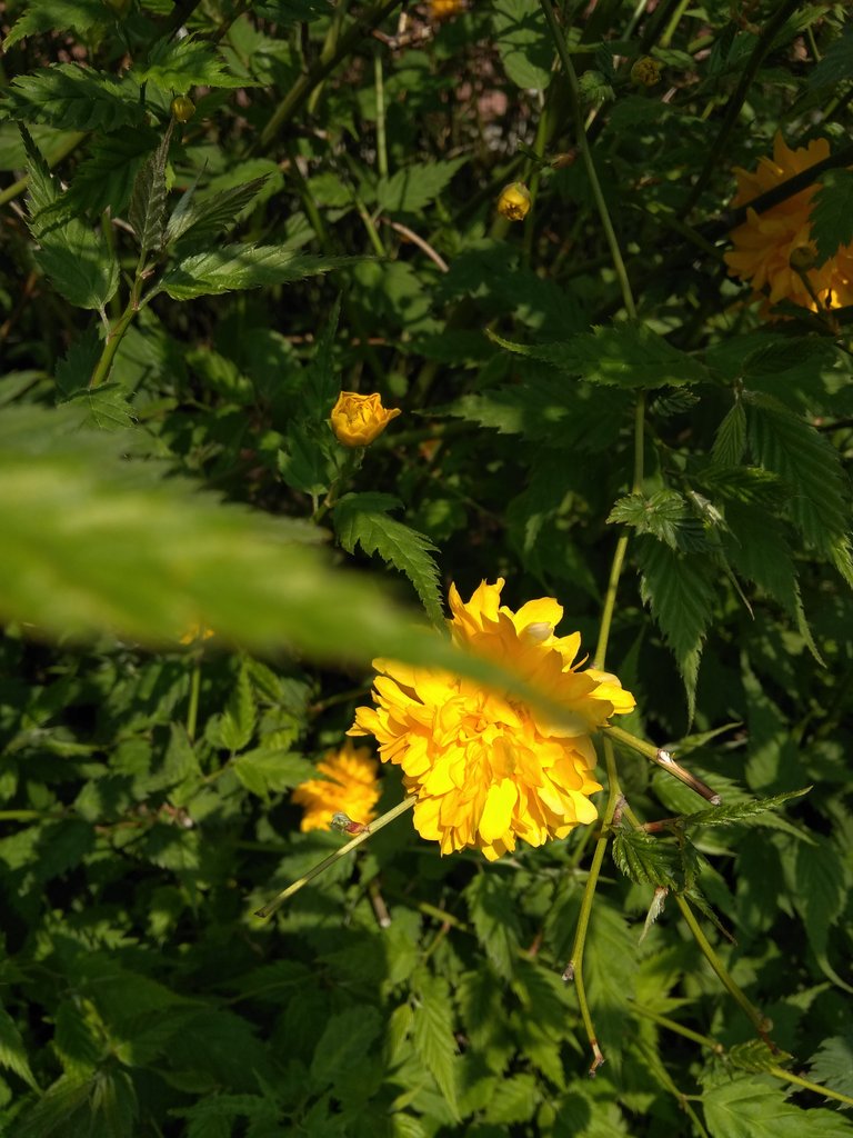 2019. Eden fotok 6.b  084.jpg