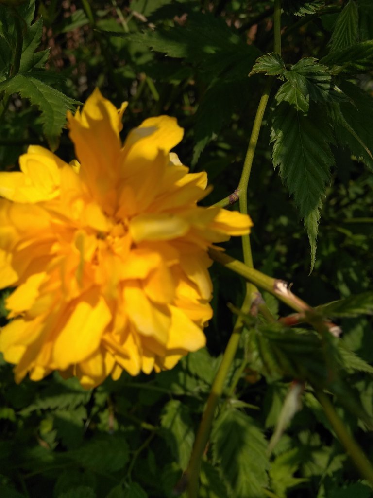 2019. Eden fotok 6.b  085.jpg