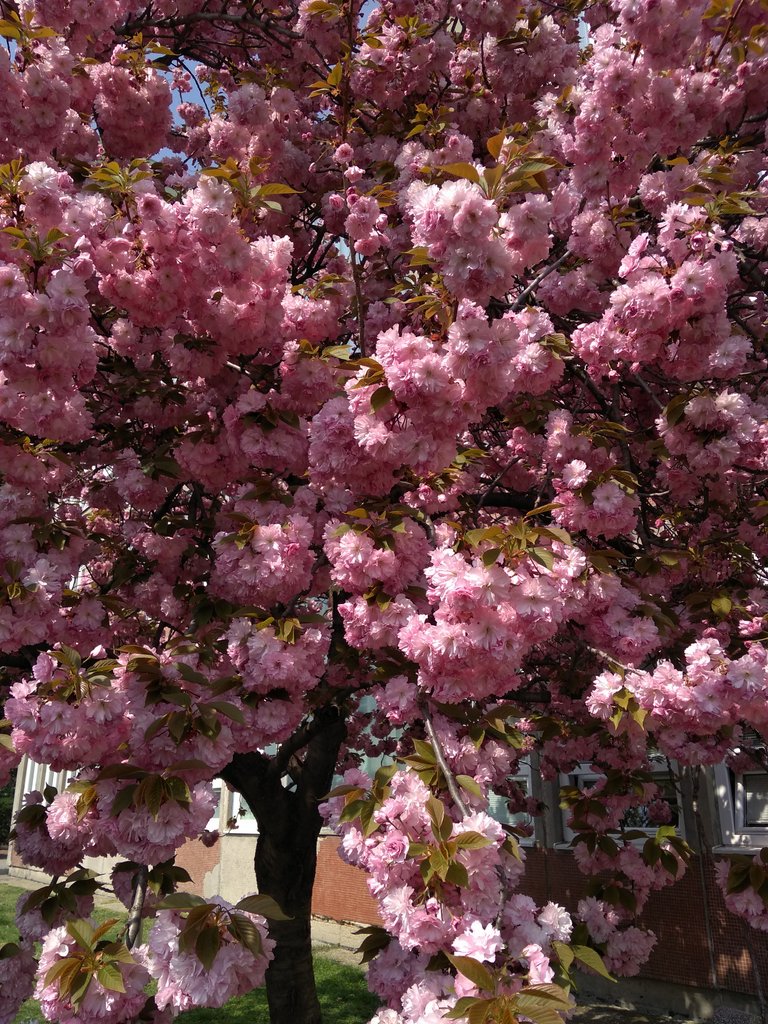 2019. Eden fotok 6.b  086.jpg