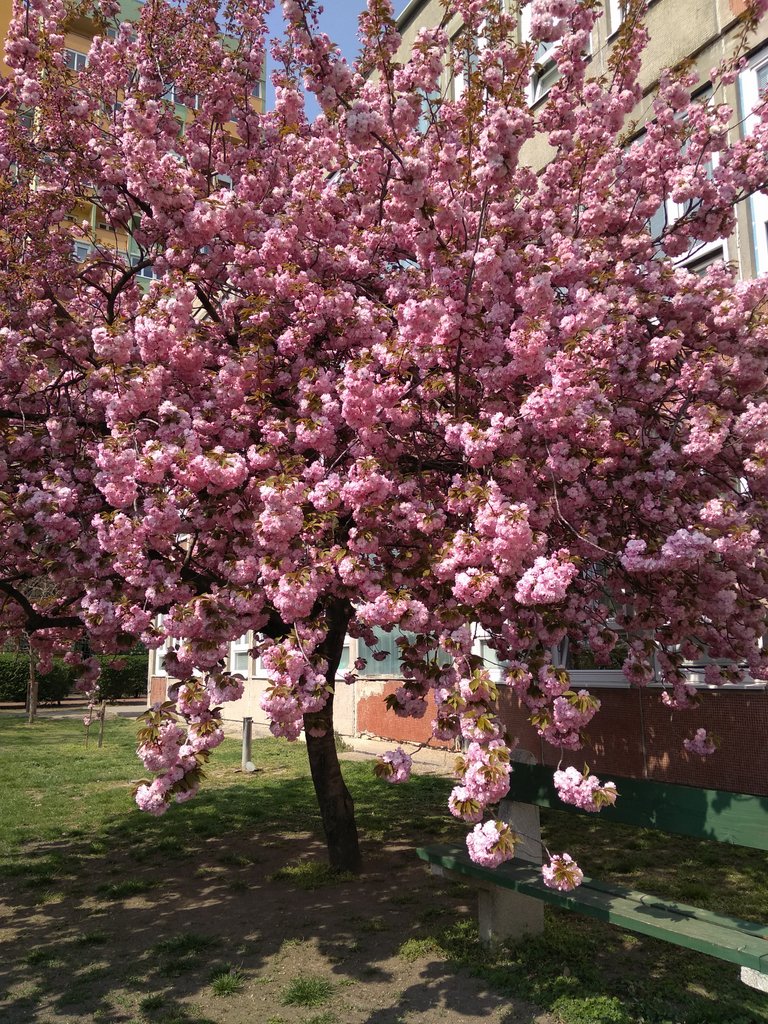 2019. Eden fotok 6.b  087.jpg