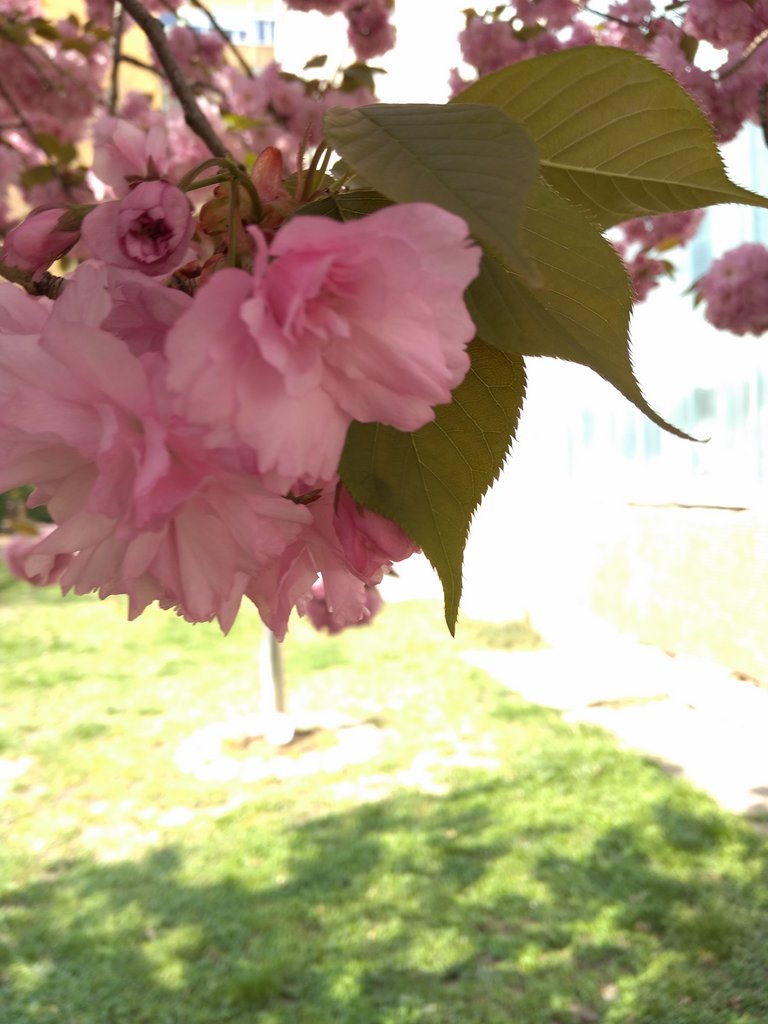 2019. Eden fotok 6.b  088.jpg