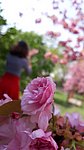 2019. Eden fotok 6.b  003.jpg
