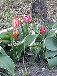 2019. Eden fotok 6.b  037.jpg