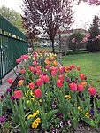 2019. Eden fotok 6.b  040.jpg