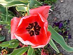 2019. Eden fotok 6.b  044.jpg