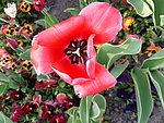 2019. Eden fotok 6.b  045.jpg
