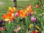 2019. Eden fotok 6.b  046.jpg