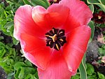 2019. Eden fotok 6.b  047.jpg