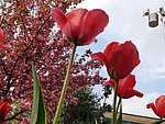 2019. Eden fotok 6.b  048.jpg