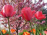 2019. Eden fotok 6.b  051.jpg