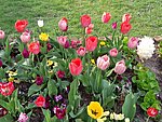 2019. Eden fotok 6.b  053.jpg