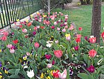 2019. Eden fotok 6.b  056.jpg