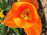 2019. Eden fotok 6.b  058.jpg