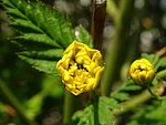 2019. Eden fotok 6.b  067.JPG