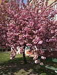 2019. Eden fotok 6.b  087.jpg