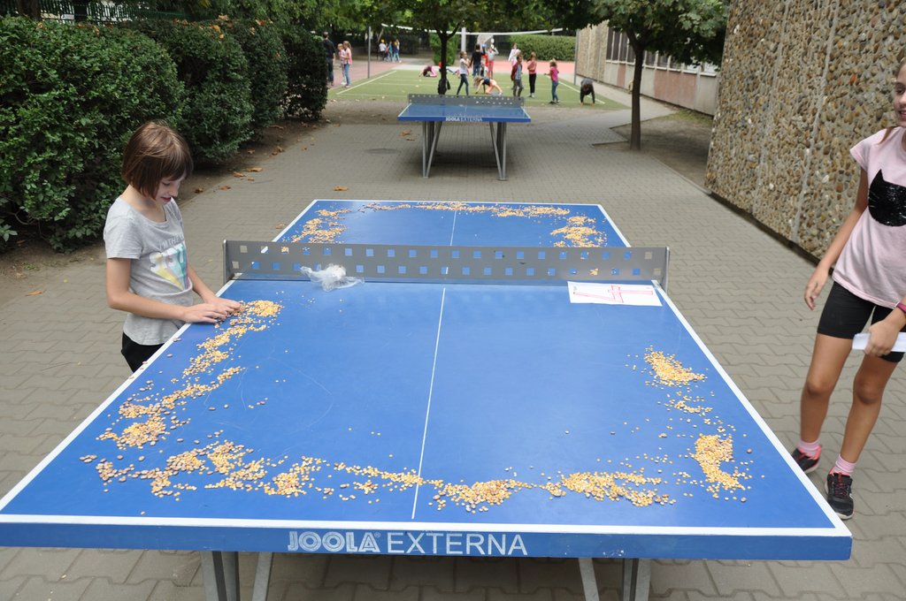 Nepmese napja elsosk  2019.09. 042.JPG