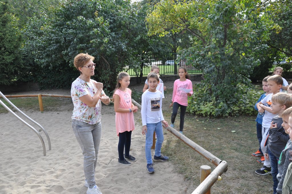 Nepmese napja elsosk  2019.09. 075.JPG