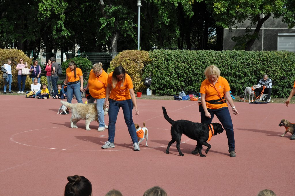 OKO-nap  2019.09.28. 103.JPG