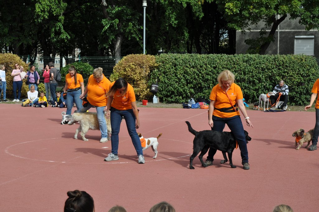 OKO-nap  2019.09.28. 104.JPG