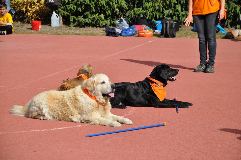 OKO-nap  2019.09.28. 120.JPG