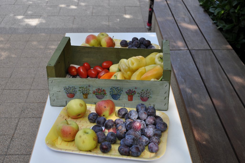 OKO-nap  2019.09.28. 211.JPG