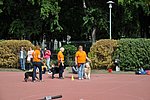 OKO-nap  2019.09.28. 091.JPG