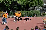 OKO-nap  2019.09.28. 094.JPG