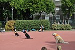 OKO-nap  2019.09.28. 095.JPG