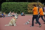 OKO-nap  2019.09.28. 115.JPG