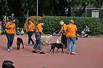 OKO-nap  2019.09.28. 117.JPG