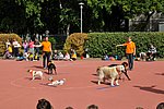 OKO-nap  2019.09.28. 122.JPG