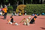 OKO-nap  2019.09.28. 124.JPG