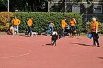 OKO-nap  2019.09.28. 134.JPG