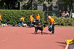 OKO-nap  2019.09.28. 135.JPG