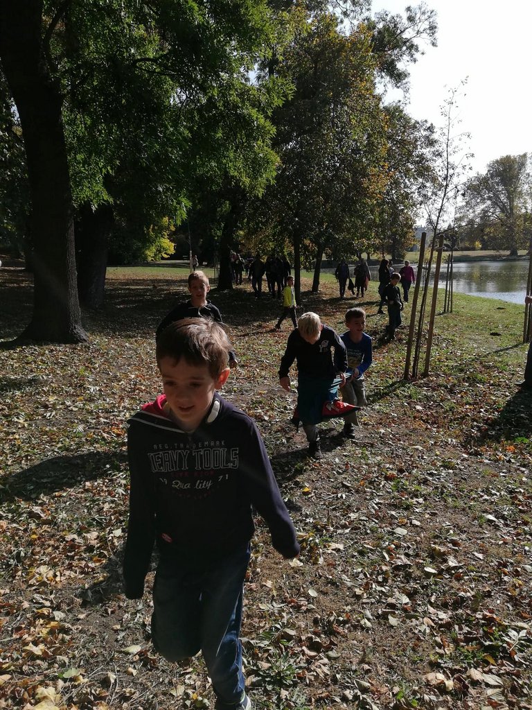 Martonvasar 2.a 13.jpg