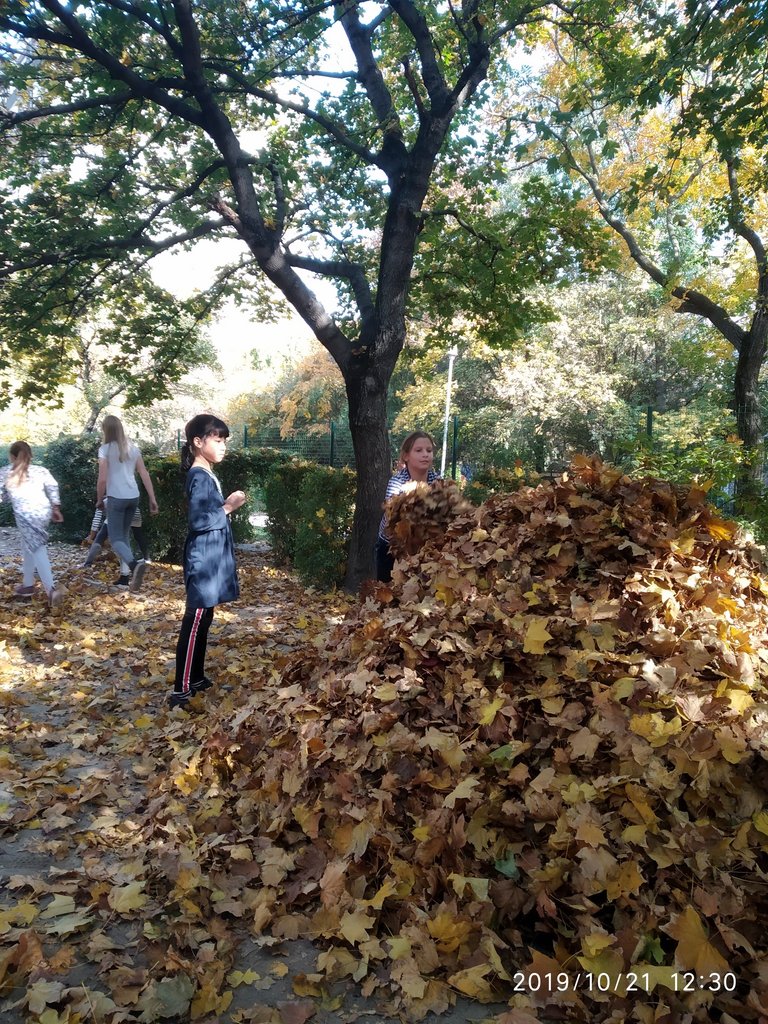 Az osz oromei 4.a 08.jpg