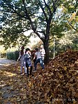 Az osz oromei 4.a 07.jpg