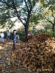 Az osz oromei 4.a 08.jpg